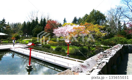人気の中国庭園 人気の中国庭園 135655031