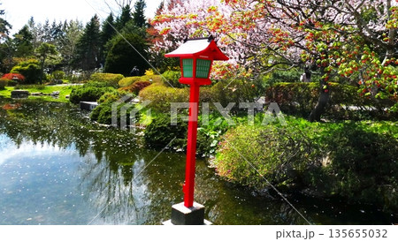 人気の中国庭園 人気の中国庭園 135655032