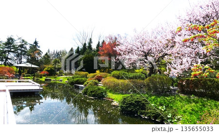 人気の中国庭園 人気の中国庭園 135655033