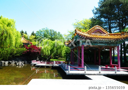 人気の中国庭園 人気の中国庭園 135655039