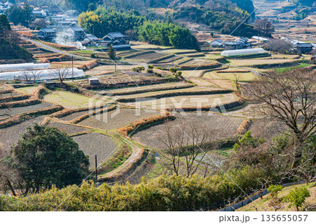 冬の明日香村の棚田風景 奈良県 冬の明日香村の棚田風景 奈良県 135655057