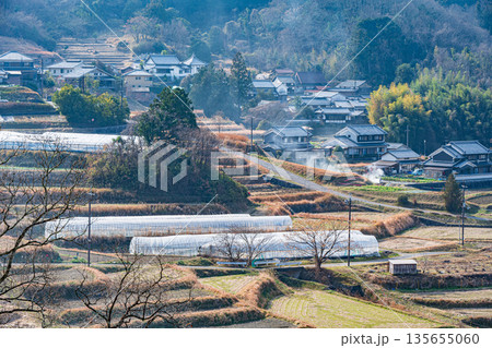 冬の明日香村の棚田風景　奈良県 135655060