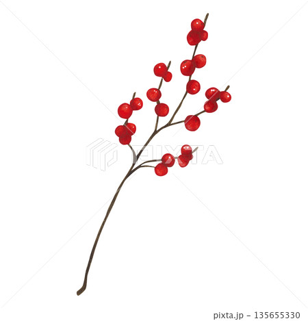 A thin branch with red berries. Hand-drawn watercolor illustration, cartoon. Design for cards, invitations, and stickers. Holiday, plant, decoration, Christmas, bright, bouquet, branch, bush, tree 135655330