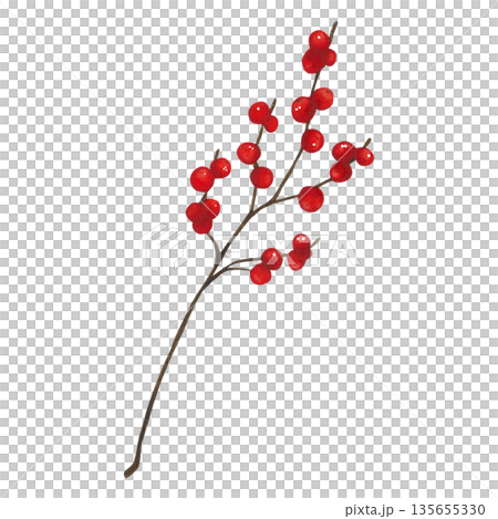 A thin branch with red berries. Hand-drawn watercolor illustration, cartoon. Design for cards, invitations, and stickers. Holiday, plant, decoration, Christmas, bright, bouquet, branch, bush, tree 135655330