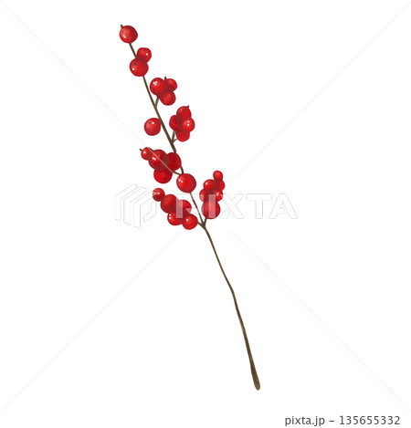 A branch with red berries. Hand-drawn watercolor illustration, cartoon. Design for cards, invitations, and stickers. Holiday, plant, decoration, Christmas, bright, bouquet, branch, bush, tree 135655332