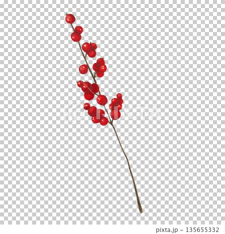 A branch with red berries. Hand-drawn watercolor illustration, cartoon. Design for cards, invitations, and stickers. Holiday, plant, decoration, Christmas, bright, bouquet, branch, bush, tree 135655332