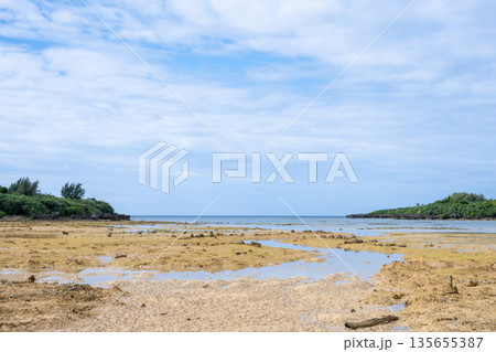 日本の沖縄のとても美しい海の風景 135655387