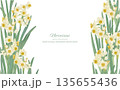 水彩で描いた水仙の背景フレームイラスト 135655436