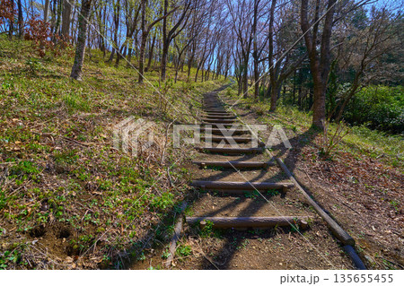 春の神奈川県秦野市の権現山(弘法山公園)方面の男坂 135655455