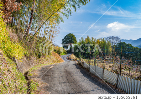 冬の明日香村風景 奈良県 冬の明日香村風景 奈良県 135655561