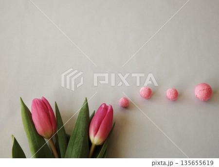 春　ピンクのチューリップ 135655619