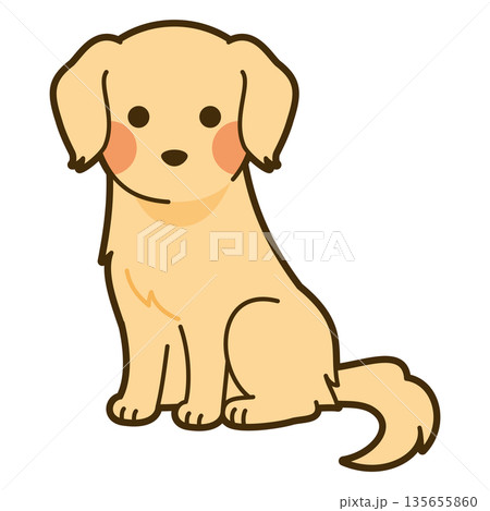 ゴールデンレトリーバーのイラスト 135655860