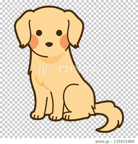 ゴールデンレトリーバーのイラスト 135655860