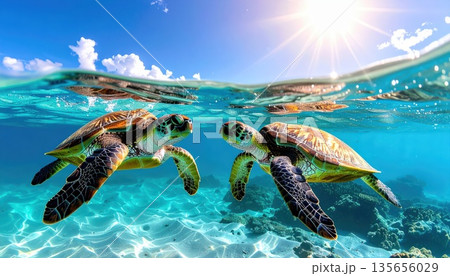 《AI画像》優雅に泳ぐウミガメ 135656029