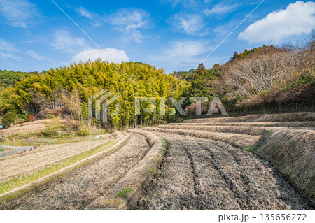 冬の棚田 奈良県明日香村 冬の棚田 奈良県明日香村 135656272