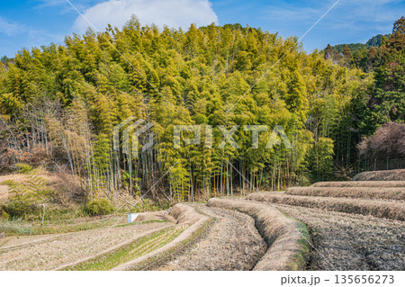 冬の棚田　奈良県明日香村 135656273