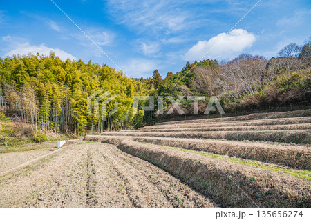 冬の棚田　奈良県明日香村 135656274