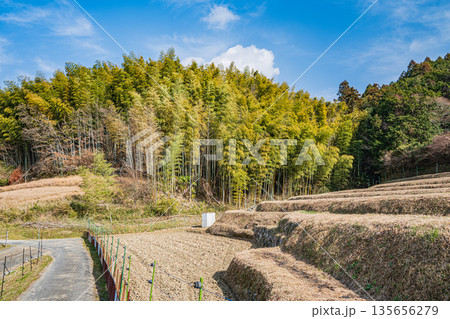 冬の棚田　奈良県明日香村 135656279