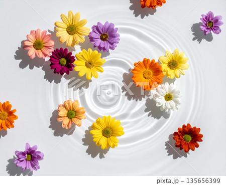 水面に浮かぶカラフルな花　春・夏　透明感　清潔感　白背景 135656399