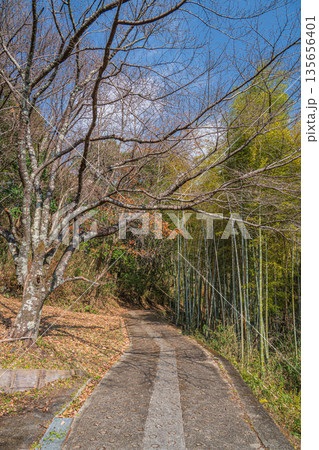 山の奥へと続く道　奈良県明日香村 135656401