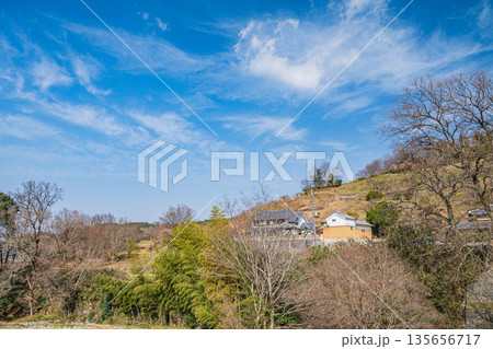 冬の明日香村の里山風景　奈良県明日香村 135656717