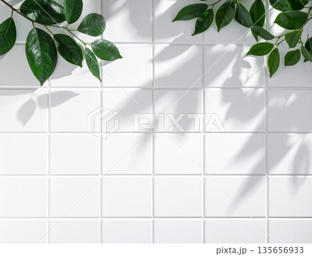 プラントシャドウと白い壁の背景　植物　タイル　ディスプレイのイメージ素材　自然　美容　清潔感 135656933
