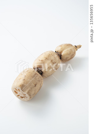 蓮根 135656955
