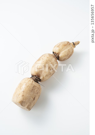 蓮根 蓮根 135656957