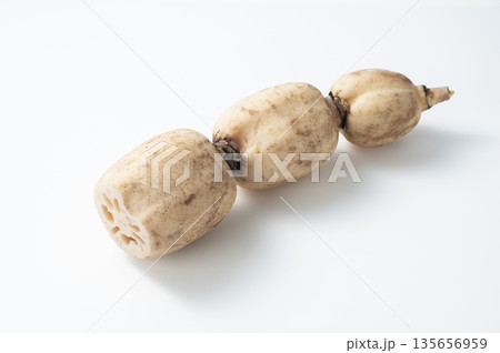 蓮根 135656959
