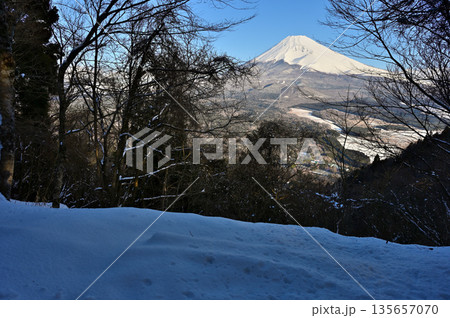 愛鷹山塊の黒岳 雪化粧した黒岳展望広場から望む朝の富士山 愛鷹山塊の黒岳 雪化粧した黒岳展望広場から望む朝の富士山 135657070