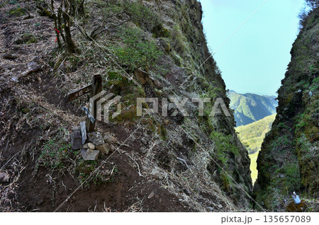 愛鷹山塊　蓬莱岳（蓬莱山）と呼子岳の鞍部　割石峠の登山道 135657089