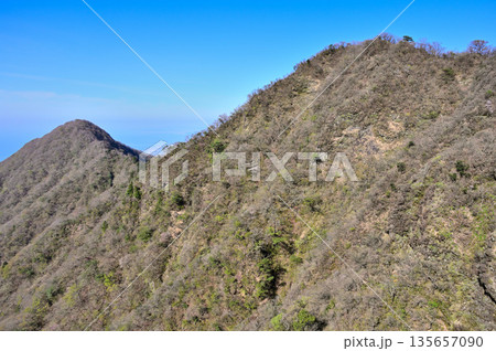愛鷹山塊の蓬莱岳（蓬莱山）　天狗の畑展望地より望む大岳と呼子岳 135657090