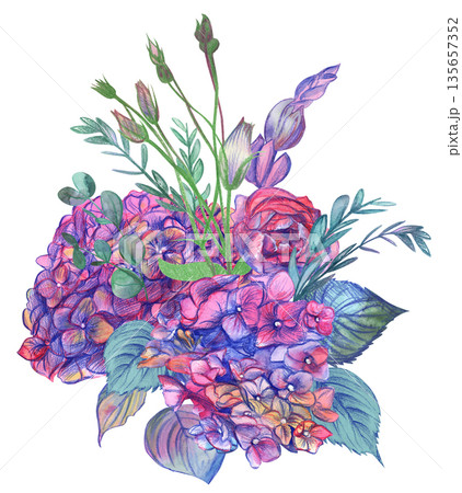 Bouquet of pink hydrangeas drawn painted with watercolor on vintage style 135657352