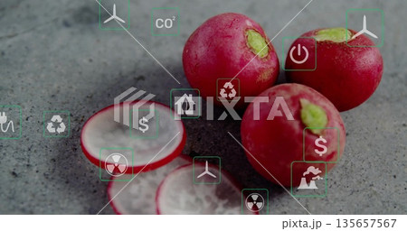 Displaying red radishes and slices on kitchen counter, featuring wind turbine recycle and CO? icons Displaying red radishes and slices on kitchen counter, featuring wind turbine recycle and CO? icons 135657567
