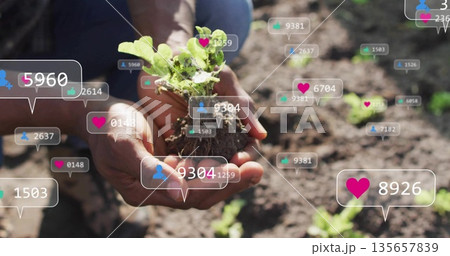 Holding hands wearing blue work shirt cradling seedling in garden bed, floating social media icons Holding hands wearing blue work shirt cradling seedling in garden bed, floating social media icons 135657839