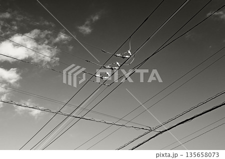 交差する送電線 交差する送電線 135658073