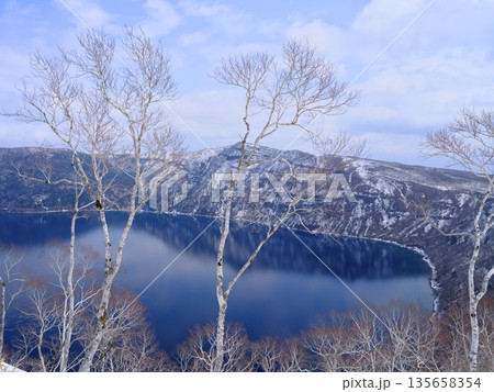 残雪の摩周湖第1展望台からダケカンバ越しに摩周湖を望む 残雪の摩周湖第1展望台からダケカンバ越しに摩周湖を望む 135658354