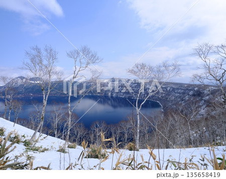 残雪の摩周湖第1展望台からダケカンバ越しに摩周湖を望む 残雪の摩周湖第1展望台からダケカンバ越しに摩周湖を望む 135658419