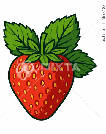 Fresh Red Strawberry Cartoon Illustration 135658588