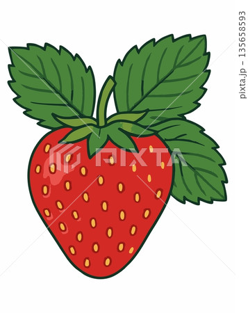 Fresh Red Strawberry Cartoon Illustration Fresh Red Strawberry Cartoon Illustration 135658593