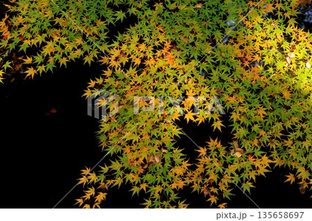 日本の秋風景 135658697