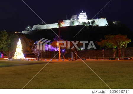 ライトアップされた丸亀城（丸亀市民ひろば） 135658714