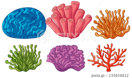 Collection of Colorful Underwater Coral Reef and Sea Anemone Vector Illustrations 135658812