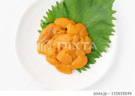 お皿に盛りつけた美味しそうな生のエゾバフンウニ 135658849
