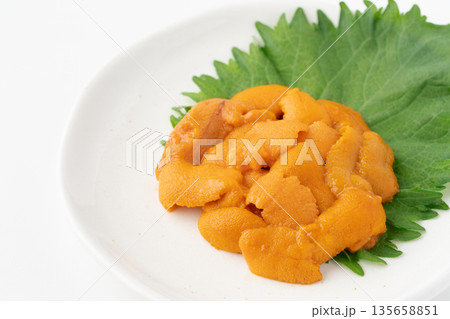 お皿に盛りつけた美味しそうな生のエゾバフンウニ お皿に盛りつけた美味しそうな生のエゾバフンウニ 135658851