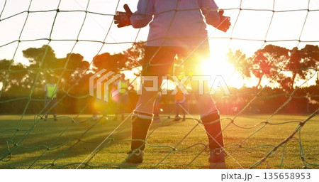 Defending goalkeeper wearing padded gloves and cleats on park grass pitch, with soccer net backdrop 135658953
