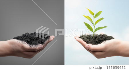 Hands holding contrasting elements of soil and a small green plant, symbolizing growth and sustainability against a gray and blue background Hands holding contrasting elements of soil and a small green plant, symbolizing growth and sustainability against a gray and blue background 135659451