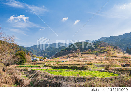 明日香村の棚田風景　奈良県 135661009