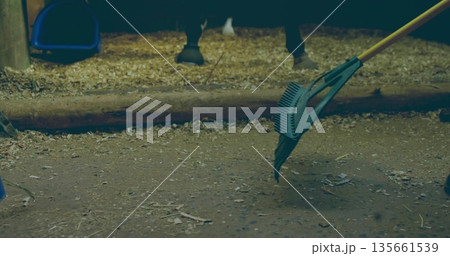 Gloved hand gathering shavings with plastic rake in stall, boots, horse hooves, bucket, copy space Gloved hand gathering shavings with plastic rake in stall, boots, horse hooves, bucket, copy space 135661539
