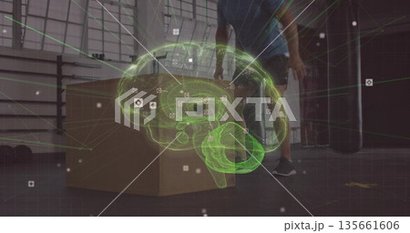 Hovering green brain hologram in gym, with plyometric box, UI icons, network lines, punching bag 135661606